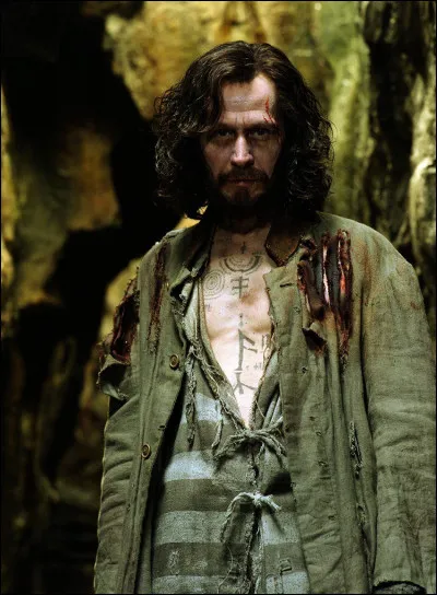 Avec quel magie a été tué Sirius Black ?