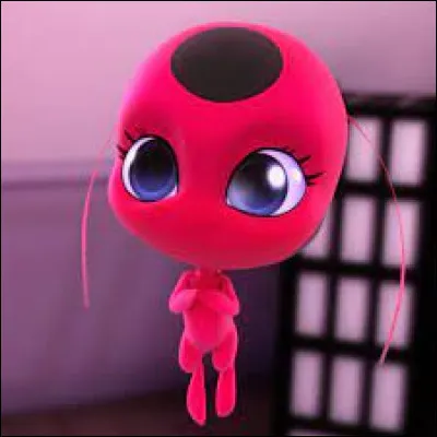 Quel est le nom de famille de Tikki ?