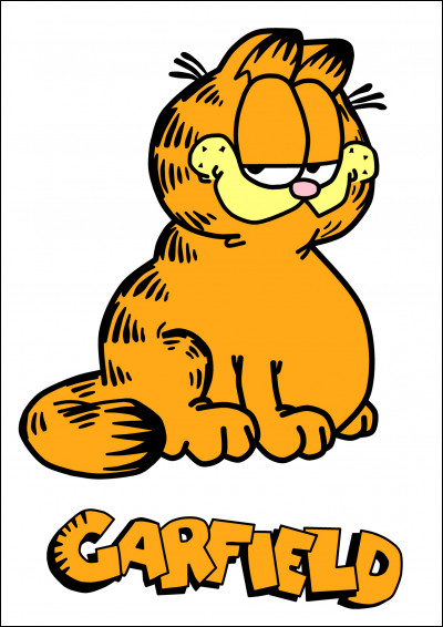 Race de Garfield, lexotic shorthair est :