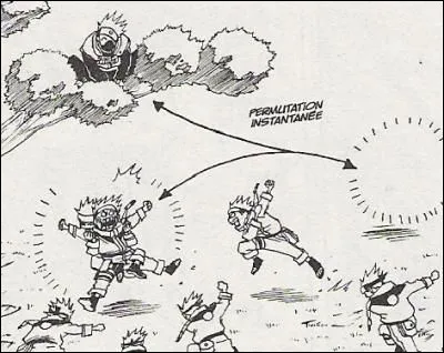 Quelle est la page du manuel du ninja qui parle de la technique de permutation ?