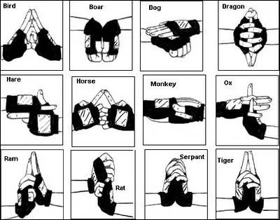 Quelle technique utilise Kakashi pour battre Sasuke ?