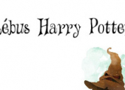 Quiz Rbus Harry Potter