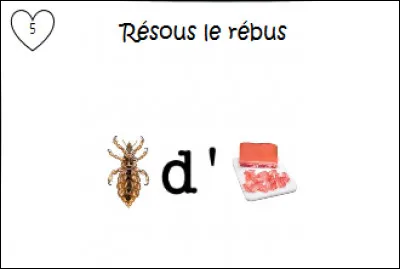 Que veut dire ce rébus ?