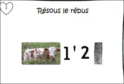 Que veut dire ce rébus ?