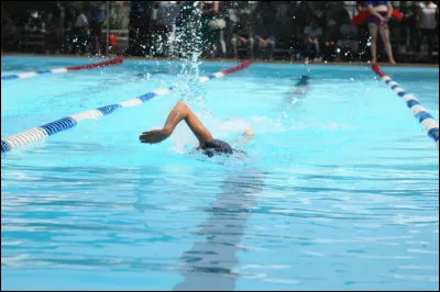 Comment dit-on "natation" ?