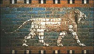 Dans quel pays est-elle située ?