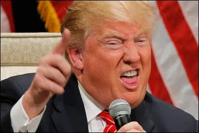 Qui est-ce Donald, homme d'affaires, animateur de télévision, homme d'État et président des États-Unis de 2017 à 2021 ?