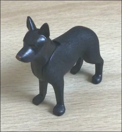 Que fait Argos quand il revoit son maître ?