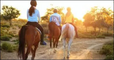 As-tu déjà fait du cheval ?