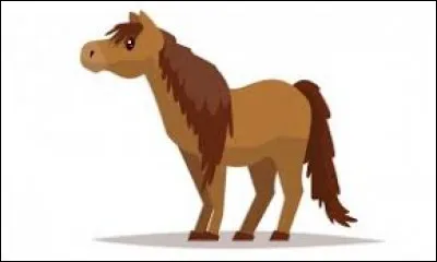 Pourquoi fais-tu ce test ?