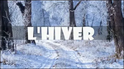 J'ai un rôle dans le long-métrage "Un singe en hiver". Je suis donc...