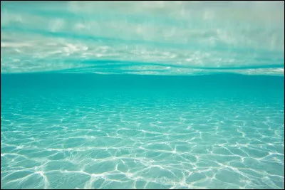 J'ai un rôle dans le film "Le Grand Bleu". Qui suis-je ?