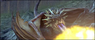 Que vont-ils faire à la première étape du tournoi ?