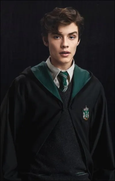 Que trouve Harry chez Theodore Nott ?