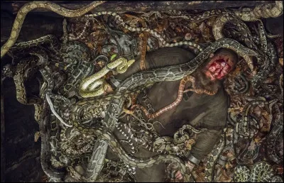 Qui est le véritable auteur de la mort de Ragnar ?