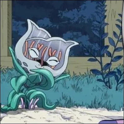 De quelle race est le chat que Kira enterre avant l'apparition de Stray Cat ?