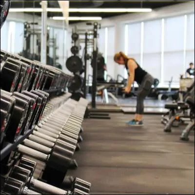 Quel appareil de fitness est l�h&eacute;ritier d�un appareil du XVIIIe si&egrave;cle appel&eacute; le gymnasicon ?