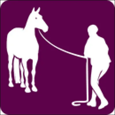 En équifeel lequel de ces exercices n'existe pas ?