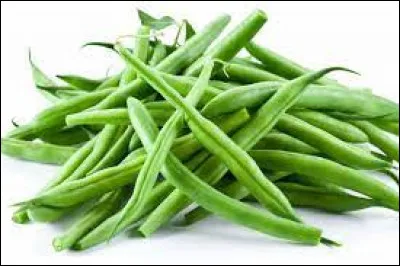 Quel est le nom latin du haricot vert ?