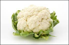 Quiz Legumes