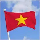 Le drapeau du Vietnam est rouge, avec en son centre une toile  cinq branches de couleur :