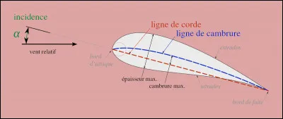 &laquo; Extrados &raquo; ?