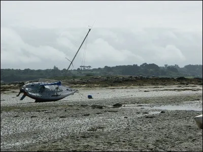 &laquo; Estran &raquo; ?