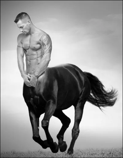 Les centaures étaient globalement des :