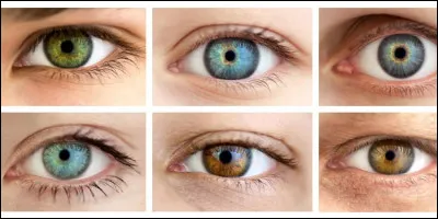 De quelle couleur sont tes yeux ?