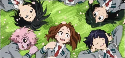 Parmi les filles de la seconde A, laquelle vous attire le plus ?