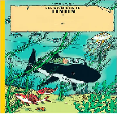 Quel est le nom du prochain album  ?