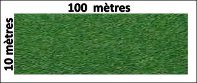 La surface de cette pelouse est-elle d'un hectare ?