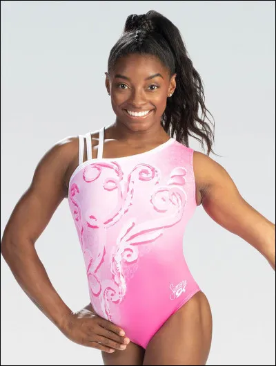 Ton championnat favori est :