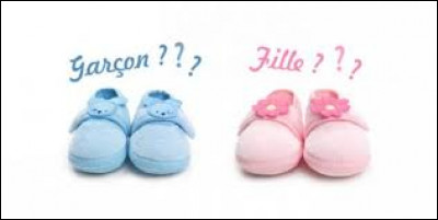 Es-tu un garçon ou une fille ?