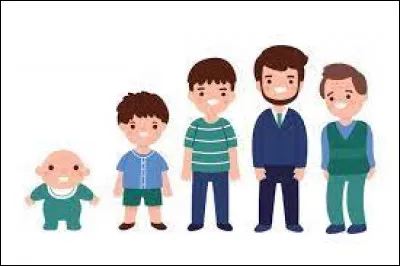 Cochez la proposition qui te correspond le mieux !