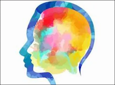 Comment peux-tu te décrire ?