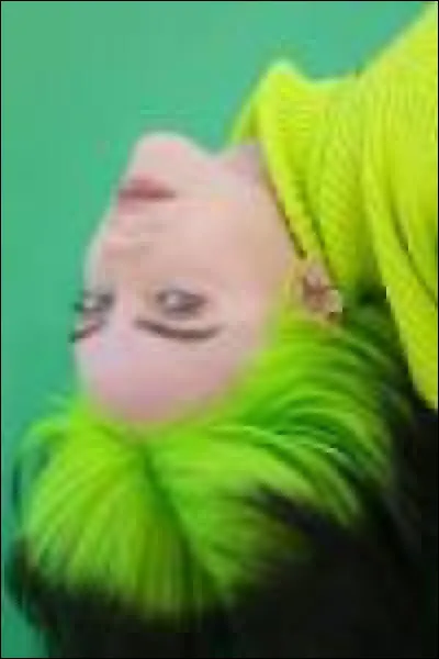 Quel artiste aimes-tu ?