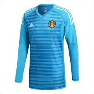 Lequel de ces gardiens est titulaire pendant cette coupe du monde de football ?