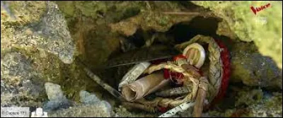 Qui a été la première victime des armes secrètes ?