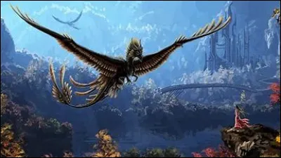 Que font ces derniers ?