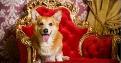 Comment s'appelle-t-il ?