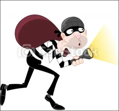 Une vieille dame fait se fait voler son sac dans la rue.