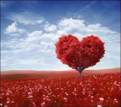 Une fille/un gars te plaît, tu...