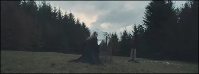 Dans quel clip voit-on Chris Harms comme ceci ?