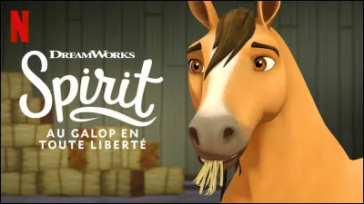 Quel est le nom de famille d'Apo ?