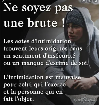 Un gars te dit que tu es gros(se) et moche.