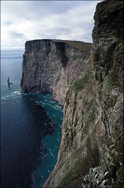 Quatre personnes tombent dans le vide, tu sauves en priorit&eacute; :
