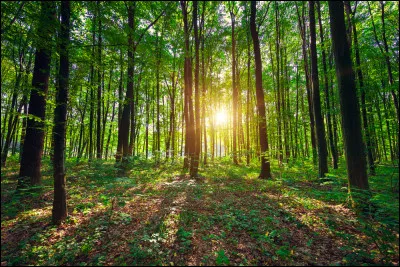 Dans quel lieu es-tu le mieux ?