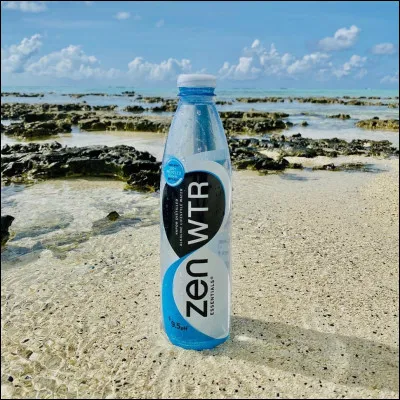 Préfères-tu avoir une corne ou des oreilles pointues ?