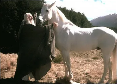 Quel est le moyen de transport que tu apprécies le plus ?